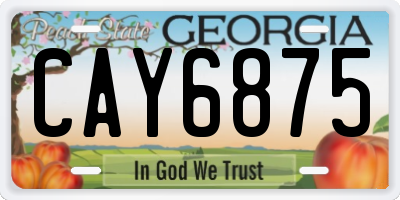 GA license plate CAY6875