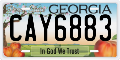 GA license plate CAY6883