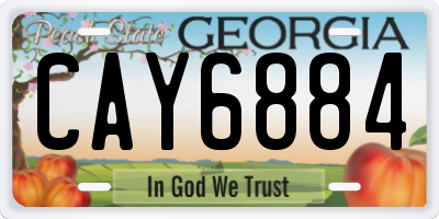 GA license plate CAY6884