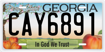 GA license plate CAY6891