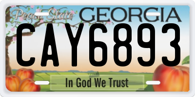 GA license plate CAY6893