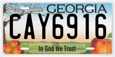 GA license plate CAY6916