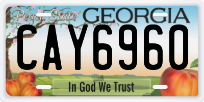 GA license plate CAY6960