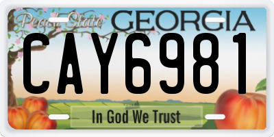 GA license plate CAY6981