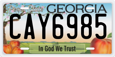 GA license plate CAY6985