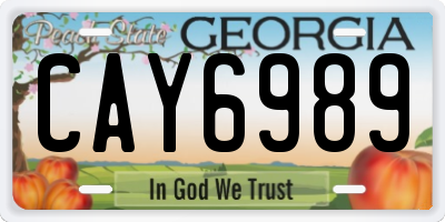 GA license plate CAY6989