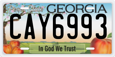 GA license plate CAY6993