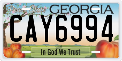 GA license plate CAY6994