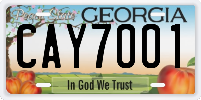 GA license plate CAY7001