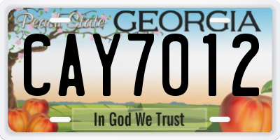 GA license plate CAY7012