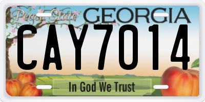 GA license plate CAY7014