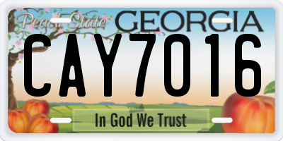 GA license plate CAY7016