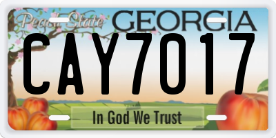 GA license plate CAY7017