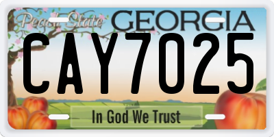 GA license plate CAY7025