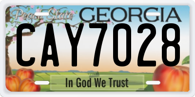 GA license plate CAY7028