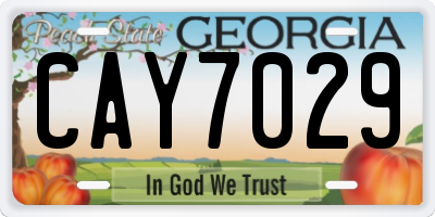 GA license plate CAY7029