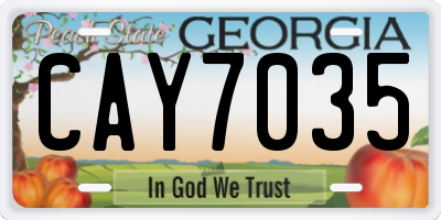 GA license plate CAY7035