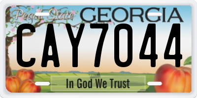 GA license plate CAY7044