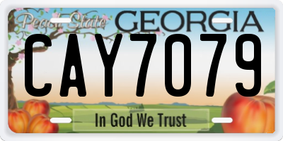 GA license plate CAY7079