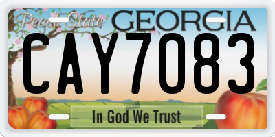 GA license plate CAY7083