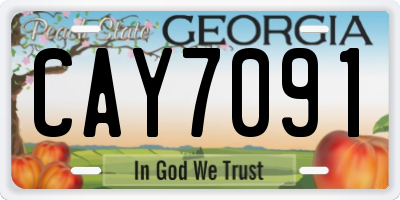 GA license plate CAY7091