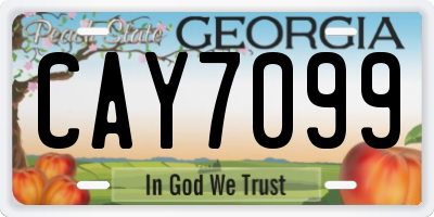 GA license plate CAY7099