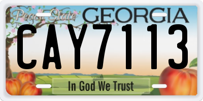 GA license plate CAY7113