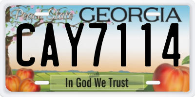 GA license plate CAY7114