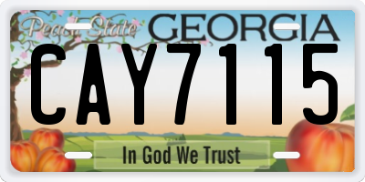 GA license plate CAY7115