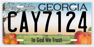 GA license plate CAY7124