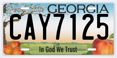 GA license plate CAY7125