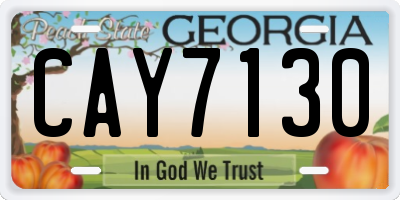 GA license plate CAY7130