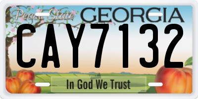 GA license plate CAY7132