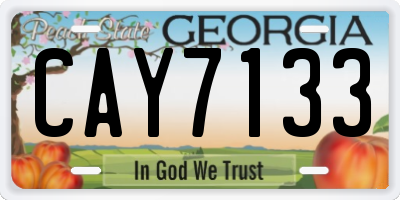 GA license plate CAY7133