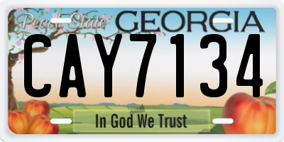 GA license plate CAY7134