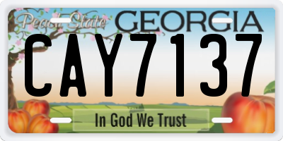 GA license plate CAY7137