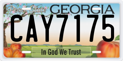 GA license plate CAY7175