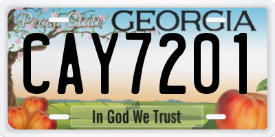 GA license plate CAY7201