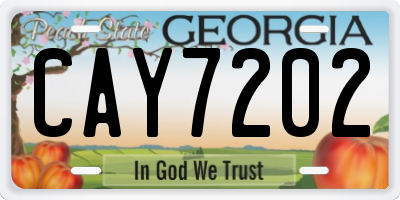 GA license plate CAY7202