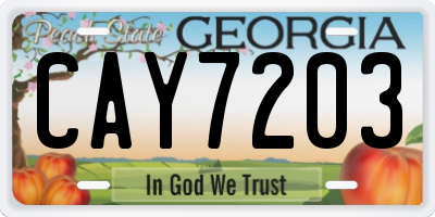 GA license plate CAY7203
