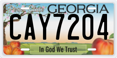 GA license plate CAY7204