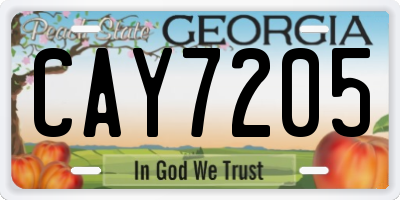 GA license plate CAY7205