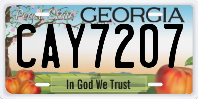 GA license plate CAY7207
