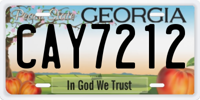 GA license plate CAY7212