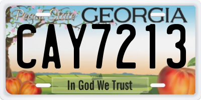 GA license plate CAY7213