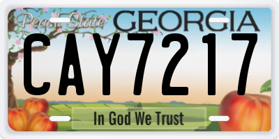 GA license plate CAY7217