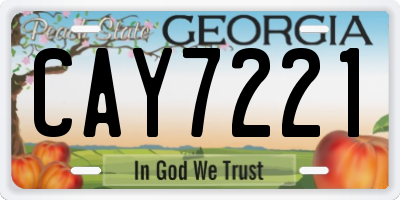 GA license plate CAY7221