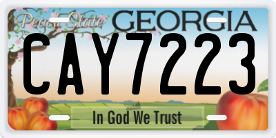 GA license plate CAY7223