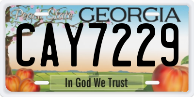 GA license plate CAY7229