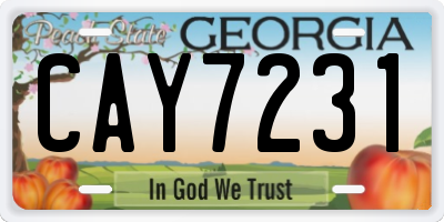 GA license plate CAY7231